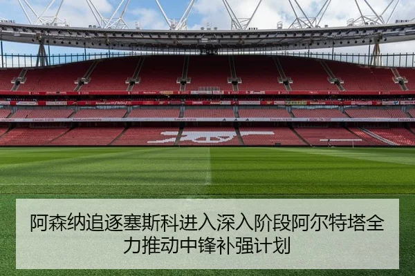 阿森纳追逐塞斯科进入深入阶段阿尔特塔全力推动中锋补强计划